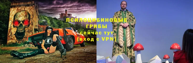 Галлюциногенные грибы прущие грибы  закладка  Гудермес 